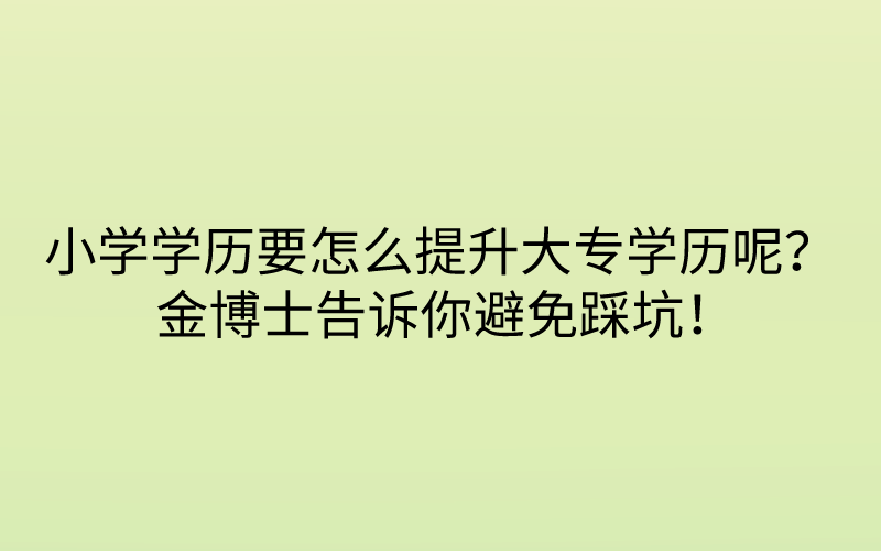 小学学历要怎么提升大专学历呢？ 金博士告诉你避免踩坑！